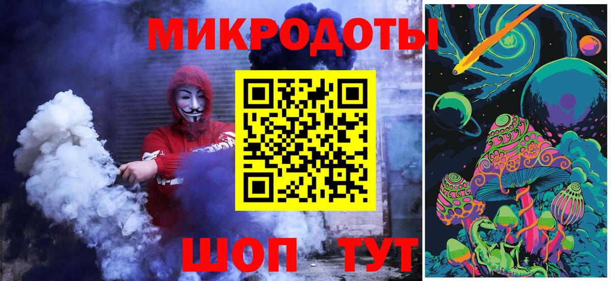 Псилоцибиновые грибы Psilocybe Калач-на-Дону
